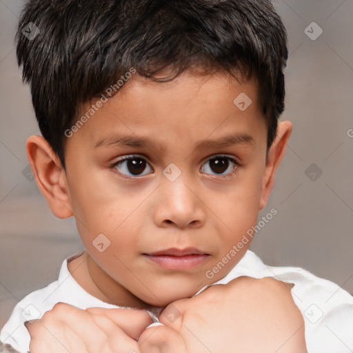 Joyful white child male with short  brown hair and brown eyes