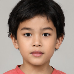 Neutral white child male with short  brown hair and brown eyes