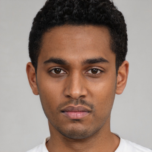 Neutral black young-adult male with short  black hair and brown eyes