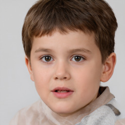 Neutral white child male with short  brown hair and brown eyes