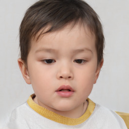 Neutral white child male with short  brown hair and brown eyes