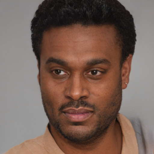 Joyful black young-adult male with short  black hair and brown eyes