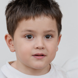 Neutral white child male with short  brown hair and brown eyes