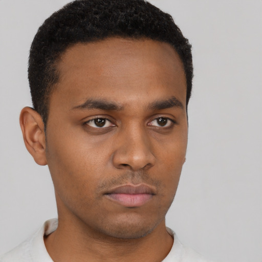 Neutral black young-adult male with short  black hair and brown eyes