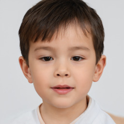 Neutral white child male with short  brown hair and brown eyes