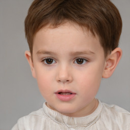 Neutral white child male with short  brown hair and brown eyes