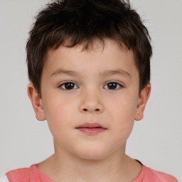 Neutral white child male with short  brown hair and brown eyes