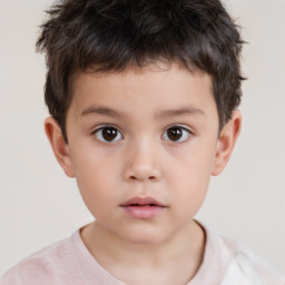 Neutral white child male with short  brown hair and brown eyes