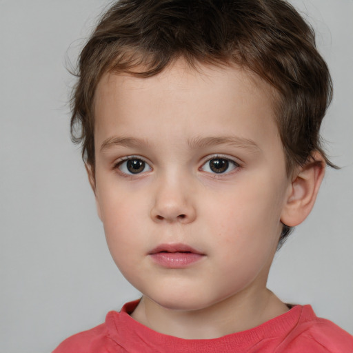 Neutral white child male with short  brown hair and brown eyes