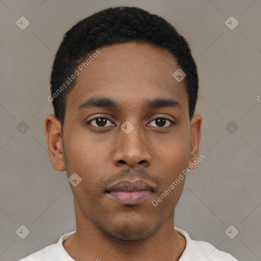 Neutral black young-adult male with short  black hair and brown eyes