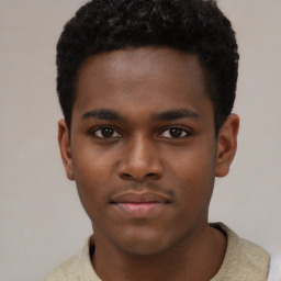 Neutral black young-adult male with short  brown hair and brown eyes