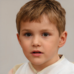 Neutral white child male with short  brown hair and brown eyes