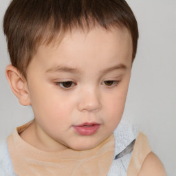 Neutral white child male with short  brown hair and brown eyes