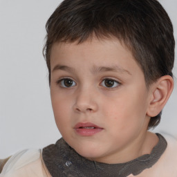 Neutral white child male with short  brown hair and brown eyes