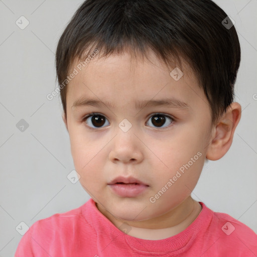 Neutral white child male with short  brown hair and brown eyes