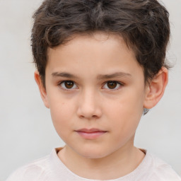 Neutral white child male with short  brown hair and brown eyes