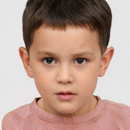 Neutral white child male with short  brown hair and brown eyes