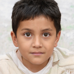 Joyful white child male with short  brown hair and brown eyes