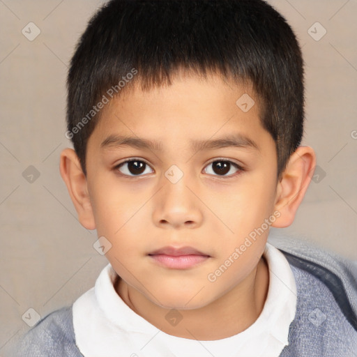 Neutral white child male with short  brown hair and brown eyes