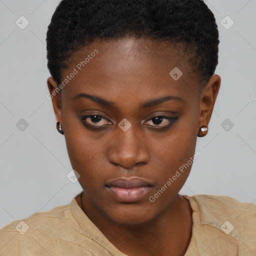 Neutral black young-adult female with short  brown hair and brown eyes