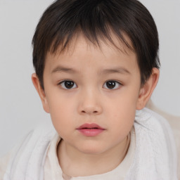 Neutral white child female with short  brown hair and brown eyes