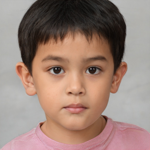 Neutral white child male with short  brown hair and brown eyes