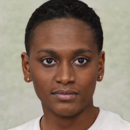 Neutral black young-adult female with short  brown hair and brown eyes