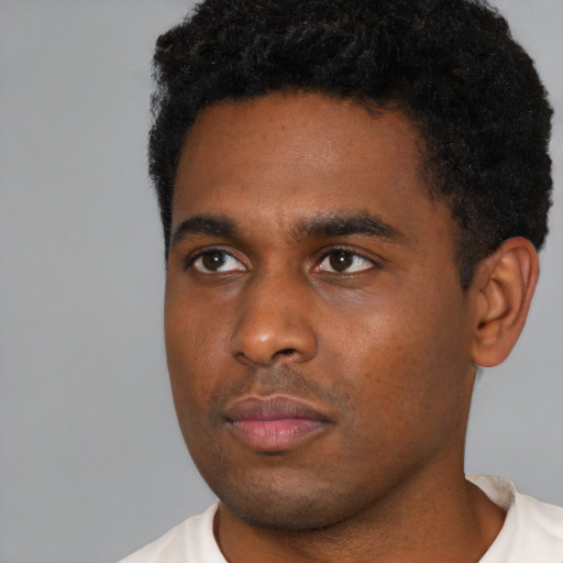 Neutral black young-adult male with short  black hair and brown eyes