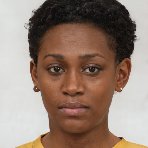 Neutral black young-adult female with short  brown hair and brown eyes