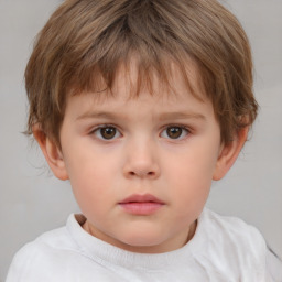 Neutral white child male with short  brown hair and brown eyes