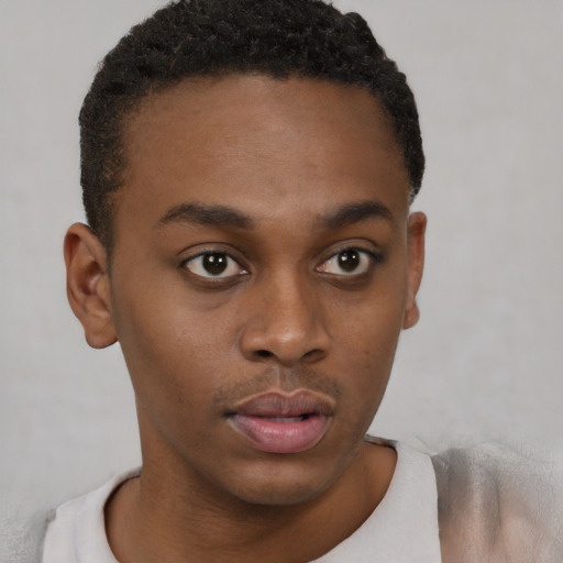 Neutral black young-adult male with short  black hair and brown eyes