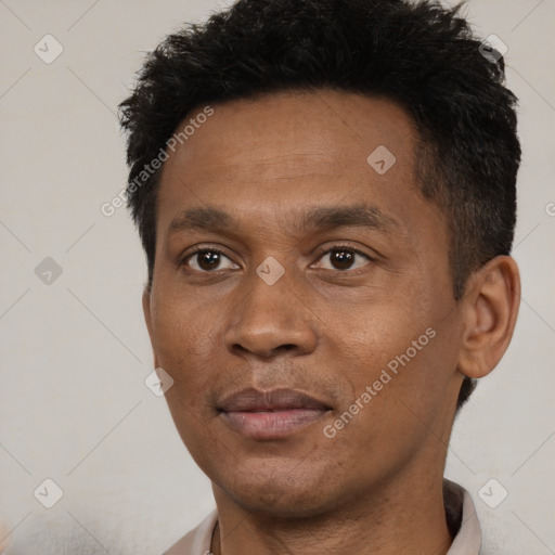 Joyful black young-adult male with short  black hair and brown eyes