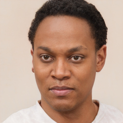 Neutral black young-adult male with short  black hair and brown eyes