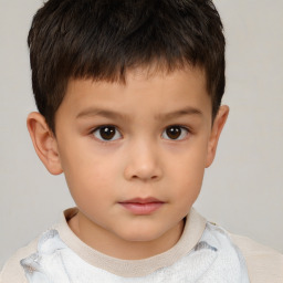 Neutral white child male with short  brown hair and brown eyes