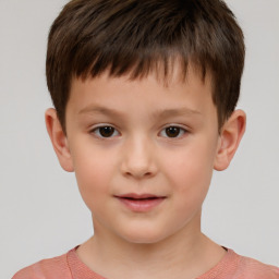 Neutral white child male with short  brown hair and brown eyes