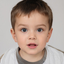 Neutral white child male with short  brown hair and brown eyes
