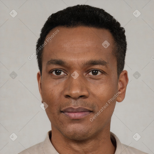 Joyful black young-adult male with short  black hair and brown eyes