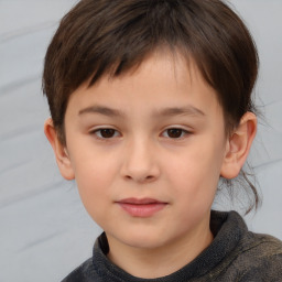 Neutral white child male with short  brown hair and brown eyes