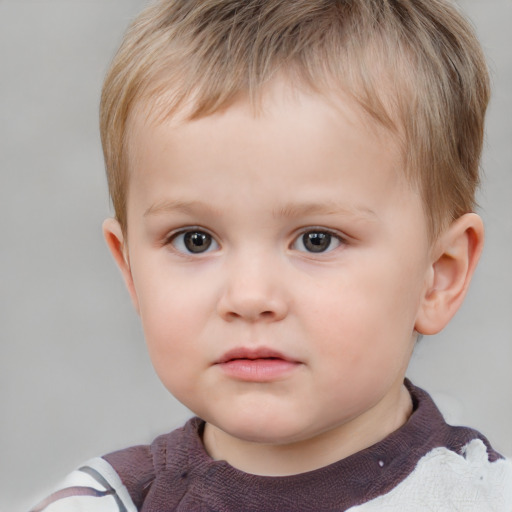 Neutral white child male with short  brown hair and brown eyes