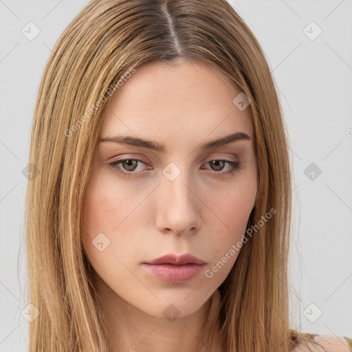 Neutral white young-adult female with long  brown hair and brown eyes