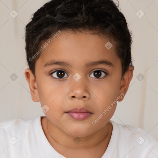 Neutral white child male with short  brown hair and brown eyes