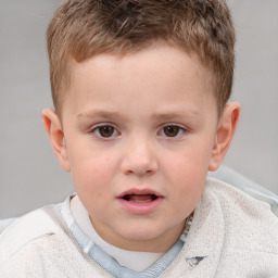 Neutral white child male with short  brown hair and brown eyes