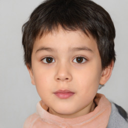 Neutral white child male with short  brown hair and brown eyes