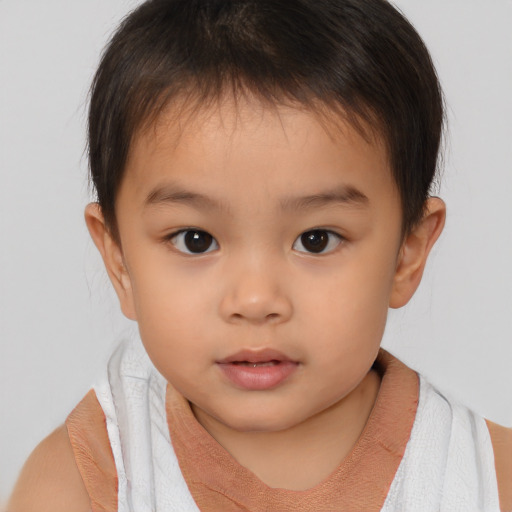 Neutral white child male with short  brown hair and brown eyes