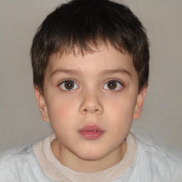 Neutral white child male with short  brown hair and brown eyes