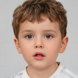 Neutral white child male with short  brown hair and brown eyes