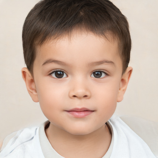 Neutral white child male with short  brown hair and brown eyes