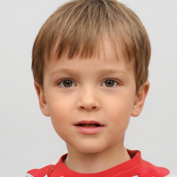 Neutral white child male with short  brown hair and brown eyes