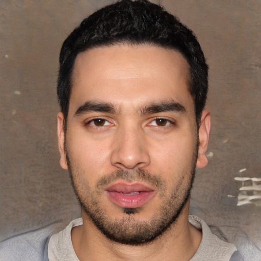 Joyful white young-adult male with short  black hair and brown eyes