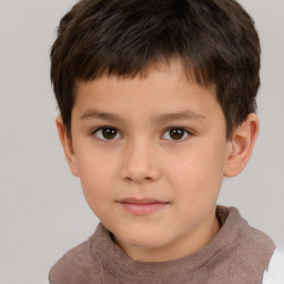 Neutral white child male with short  brown hair and brown eyes